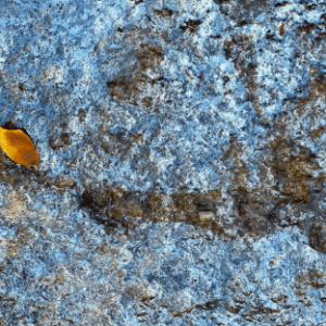Blue Foil