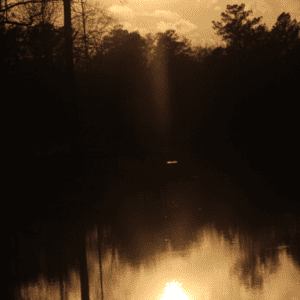 Mirrored Sky