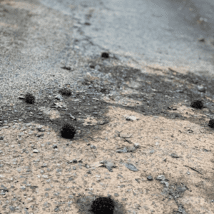 Road Burrs